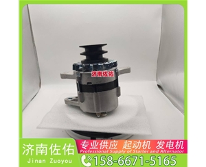 成都4280005645起动机20409228发电机 斗山 DB/DL WP4.6 锡柴 CA4DF 斗山｜DX215｜DB58 卡特 336D2 C13 玉柴 YCK05 潍柴 WP2.3 启动机